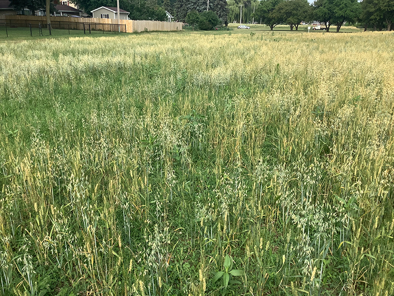 BURNSVILLE NATURAL HABITAT REIMAGINED THROUGH PARTNERSHIPS