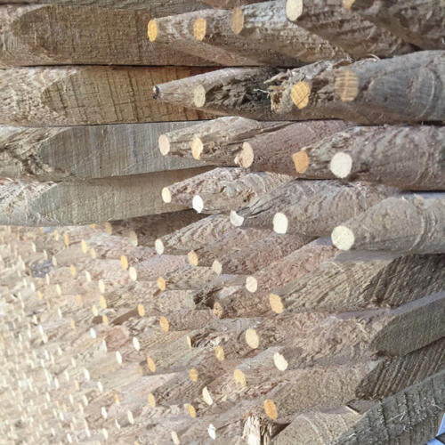 White Oak Tree Stakes