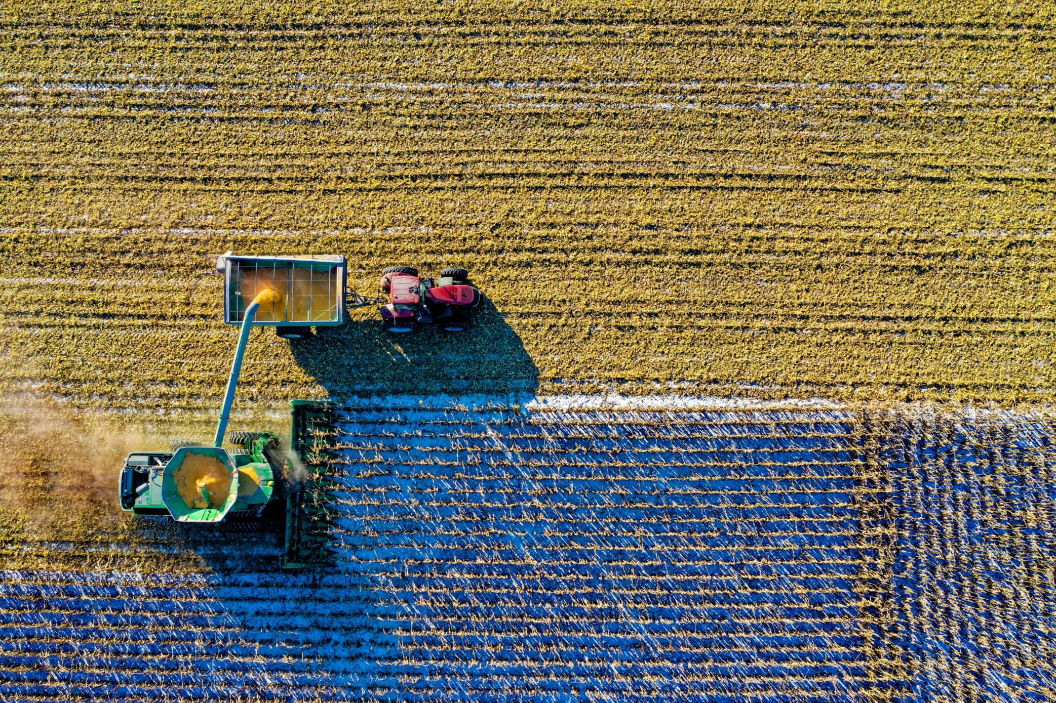 Farm Crop